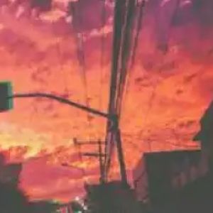 Meet your Posher, Laney